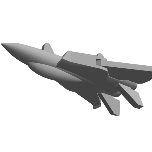 F-14 Fighter Jet
