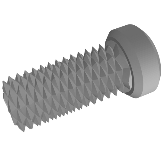 2-Way Screw